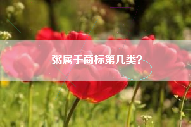 粥属于商标第几类? 粥属于商标第几类?