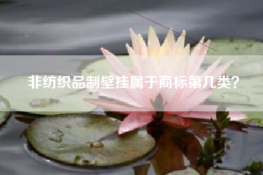 非纺织品制壁挂属于商标第几类? 非纺织品制壁挂属于商标第几类?