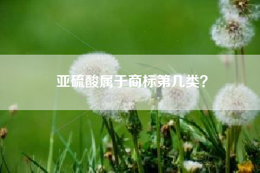 亚硫酸属于商标第几类? 亚硫酸属于商标第几类?