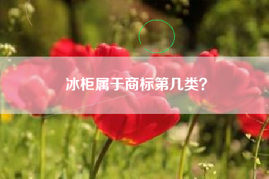 冰柜属于商标第几类? 冰柜属于商标第几类?