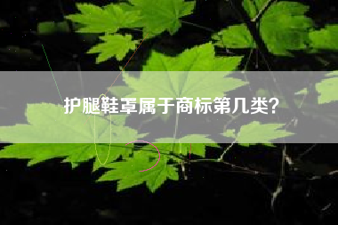 护腿鞋罩属于商标第几类? 护腿鞋罩属于商标第几类?