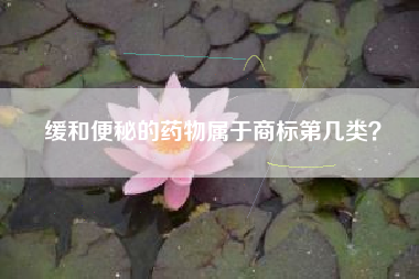 缓和便秘的药物属于商标第几类? 缓和便秘的药物属于商标第几类?