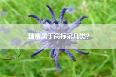 糖精属于商标第几类? 糖精属于商标第几类?