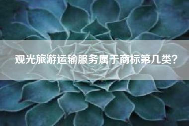 观光旅游运输服务属于商标第几类? 观光旅游运输服务属于商标第几类?