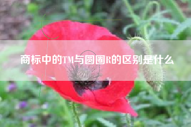 商标中的TM与圆圈R的区别是什么 商标中的TM与圆圈R的区别是什么