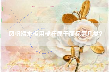 风帆滑水板用桅杆属于商标第几类? 风帆滑水板用桅杆属于商标第几类?