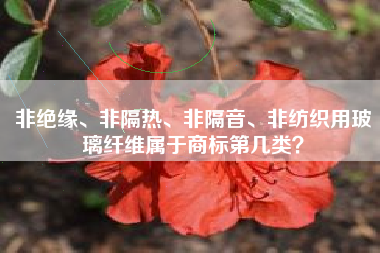 非绝缘、非隔热、非隔音、非纺织用玻璃纤维属于商标第几类? 非绝缘、非隔热、非隔音、非纺织用玻璃纤维属于商标第几类?