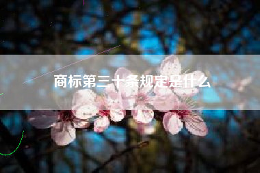 商标第三十条规定是什么 商标第三十条规定是什么