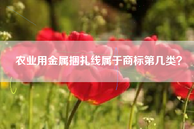 农业用金属捆扎线属于商标第几类? 农业用金属捆扎线属于商标第几类?