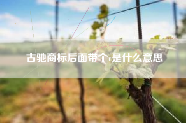 古驰商标后面带个r是什么意思 古驰商标后面带个r是什么意思