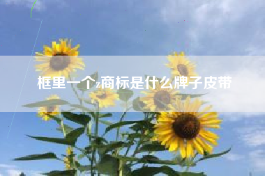 框里一个z商标是什么牌子皮带 框里一个z商标是什么牌子皮带