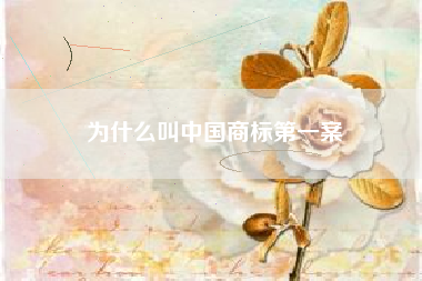 为什么叫中国商标第一案 为什么叫中国商标第一案