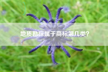 地质勘探属于商标第几类? 地质勘探属于商标第几类?