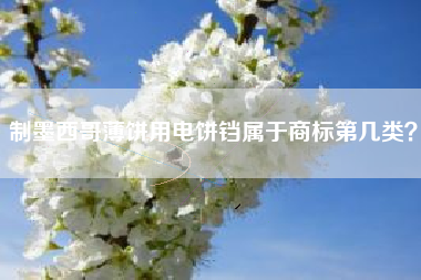 制墨西哥薄饼用电饼铛属于商标第几类? 制墨西哥薄饼用电饼铛属于商标第几类?