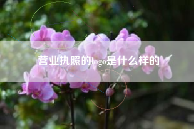 营业执照的logo是什么样的 营业执照的logo是什么样的