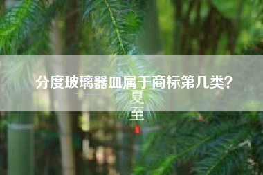 分度玻璃器皿属于商标第几类? 分度玻璃器皿属于商标第几类?