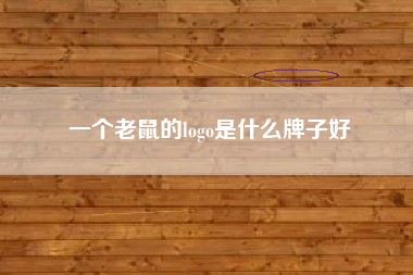 一个老鼠的logo是什么牌子好 一个老鼠的logo是什么牌子好