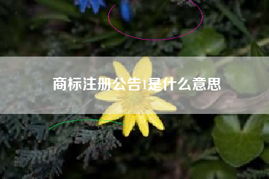 商标注册公告1是什么意思 商标注册公告1是什么意思