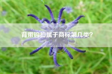 背带钩扣属于商标第几类? 背带钩扣属于商标第几类?