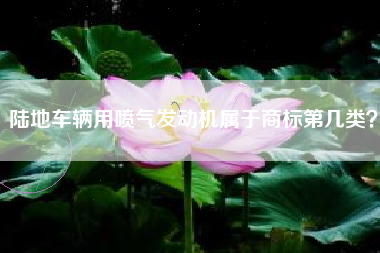 陆地车辆用喷气发动机属于商标第几类? 陆地车辆用喷气发动机属于商标第几类?