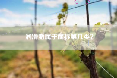 润滑脂属于商标第几类? 润滑脂属于商标第几类?