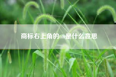 商标右上角的tm是什么意思 商标右上角的tm是什么意思