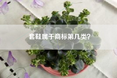 套鞋属于商标第几类? 套鞋属于商标第几类?