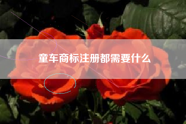 童车商标注册都需要什么 童车商标注册都需要什么