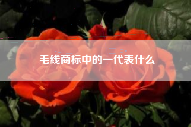 毛线商标中的一代表什么 毛线商标中的一代表什么