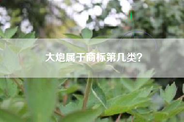 大炮属于商标第几类? 大炮属于商标第几类?