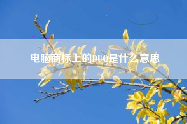 电脑商标上的DUO是什么意思 电脑商标上的DUO是什么意思
