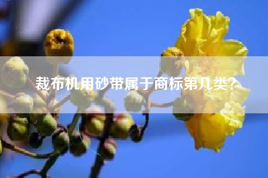 裁布机用砂带属于商标第几类? 裁布机用砂带属于商标第几类?