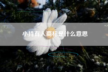 小持有人商标是什么意思 小持有人商标是什么意思