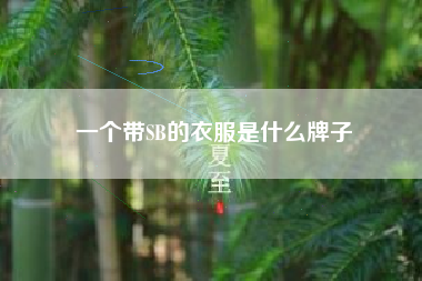 一个带SB的衣服是什么牌子 一个带SB的衣服是什么牌子