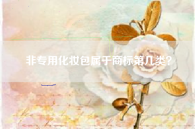 非专用化妆包属于商标第几类? 非专用化妆包属于商标第几类?
