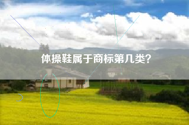体操鞋属于商标第几类? 体操鞋属于商标第几类?