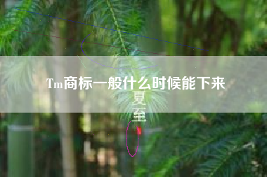 Tm商标一般什么时候能下来 Tm商标一般什么时候能下来