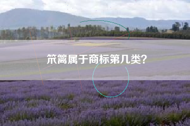 笊篱属于商标第几类? 笊篱属于商标第几类?