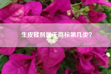 生皮鞣剂属于商标第几类? 生皮鞣剂属于商标第几类?