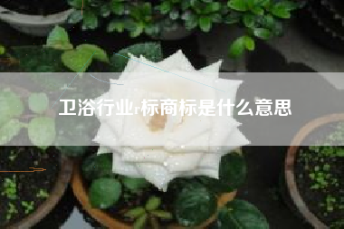 卫浴行业r标商标是什么意思 卫浴行业r标商标是什么意思