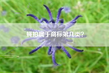 蝇拍属于商标第几类? 蝇拍属于商标第几类?