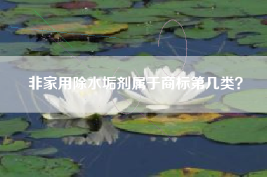 非家用除水垢剂属于商标第几类? 非家用除水垢剂属于商标第几类?