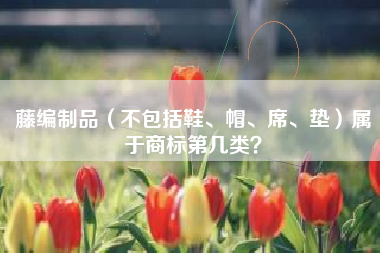 藤编制品(不包括鞋、帽、席、垫)属于商标第几类? 藤编制品(不包括鞋、帽、席、垫)属于商标第几类?