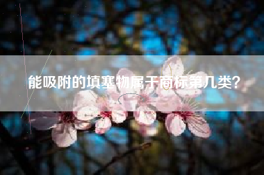 能吸附的填塞物属于商标第几类? 能吸附的填塞物属于商标第几类?