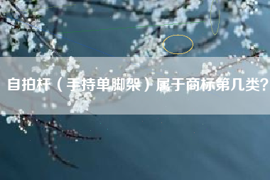 自拍杆(手持单脚架)属于商标第几类? 自拍杆(手持单脚架)属于商标第几类?