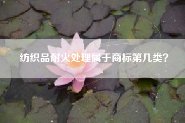 纺织品耐火处理属于商标第几类? 纺织品耐火处理属于商标第几类?