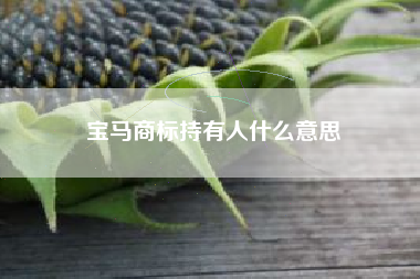 宝马商标持有人什么意思 宝马商标持有人什么意思