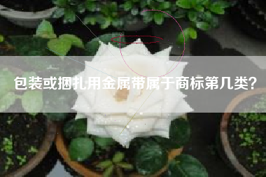 包装或捆扎用金属带属于商标第几类? 包装或捆扎用金属带属于商标第几类?