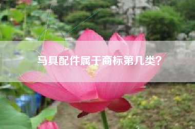 马具配件属于商标第几类? 马具配件属于商标第几类?