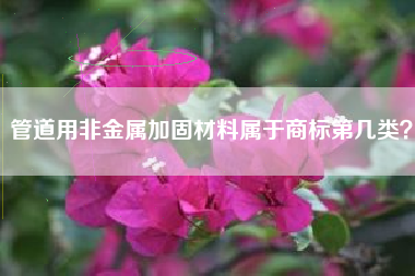 管道用非金属加固材料属于商标第几类? 管道用非金属加固材料属于商标第几类?